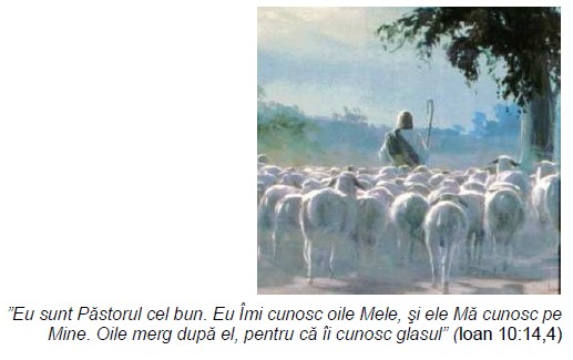 pastorul cel bun