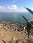 israel713