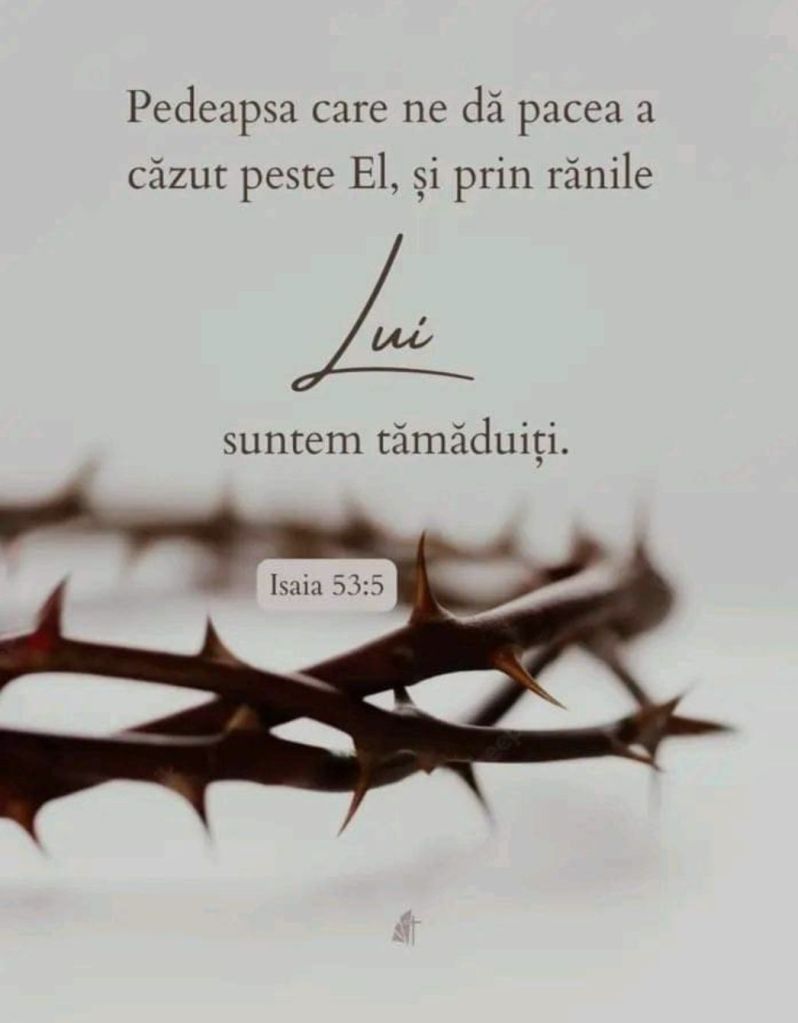 screenshot_20240330_150539_facebook1392552649771399890